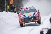Rally Travel - Thanks again for an awesome tour - impeccably organised, and you met or indeed exceeded my expectations on how much, and the quality, of what we saw!