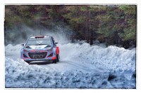 Rally Travel - One of the best experiences I've ever had, it was absolutely  brilliant from start to finish..  It was great to gave met Neil Prunnell who was a fantastic host throughout the time we were there ..  I would definitely recommend Rally Travel and hope to be back on future events.. The photo is one of many from my time in Sweden..
Thank you  