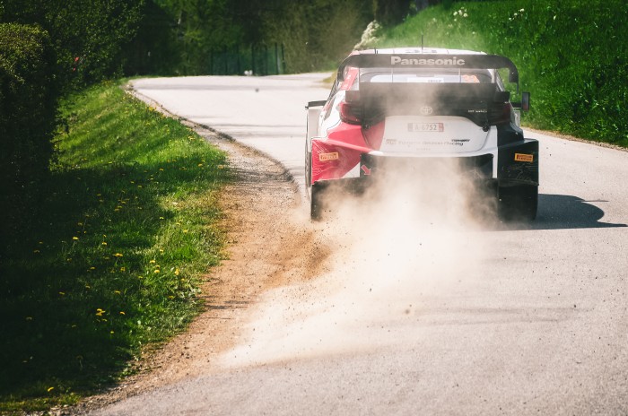 Rally Travel - Fantastic trip with Rally Travel! Great viewing spots and well organised team. Thank you!				
